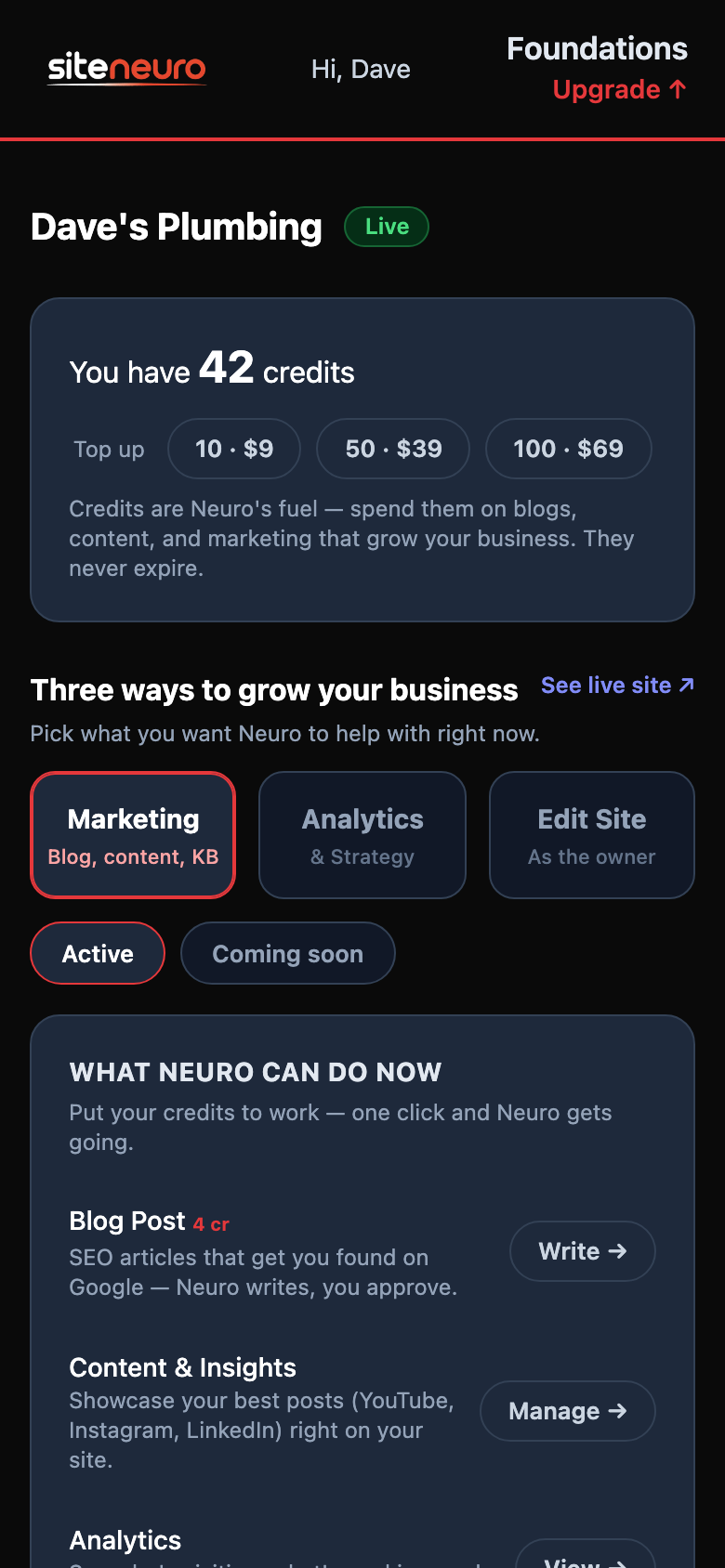SiteNeuro owner dashboard on mobile